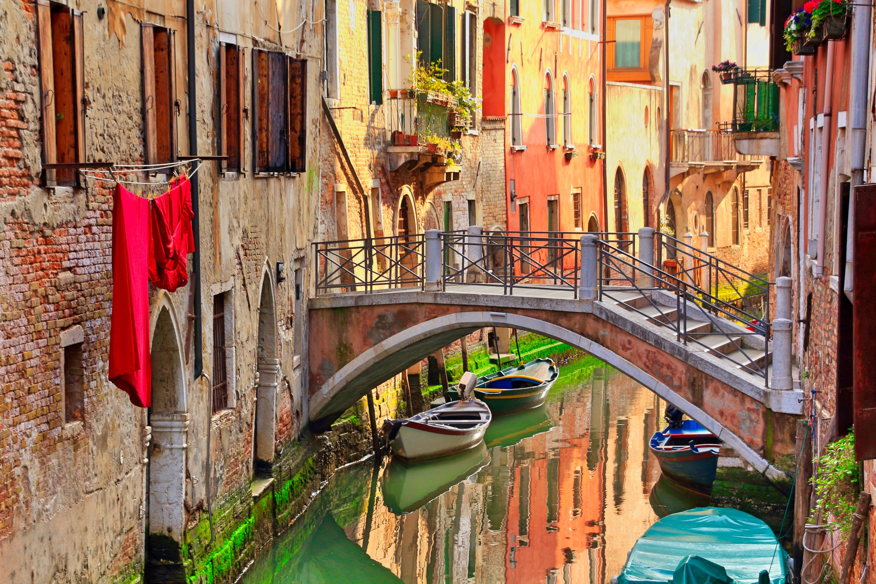 イタリア語翻訳 ネイティブ翻訳者による正確で丁寧な翻訳サービス